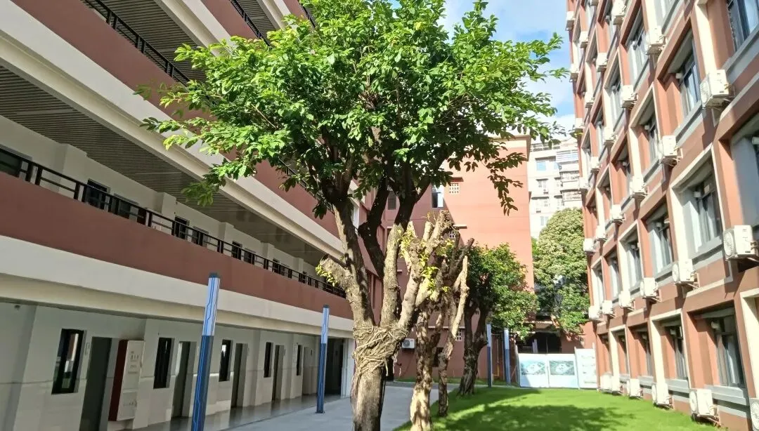 中考发挥失常怎么办?这所广州中考复读学校正在招生中-第104张图片-四季读书网