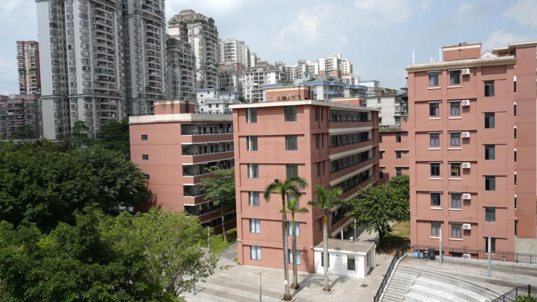 中考发挥失常怎么办?这所广州中考复读学校正在招生中-第105张图片-四季读书网