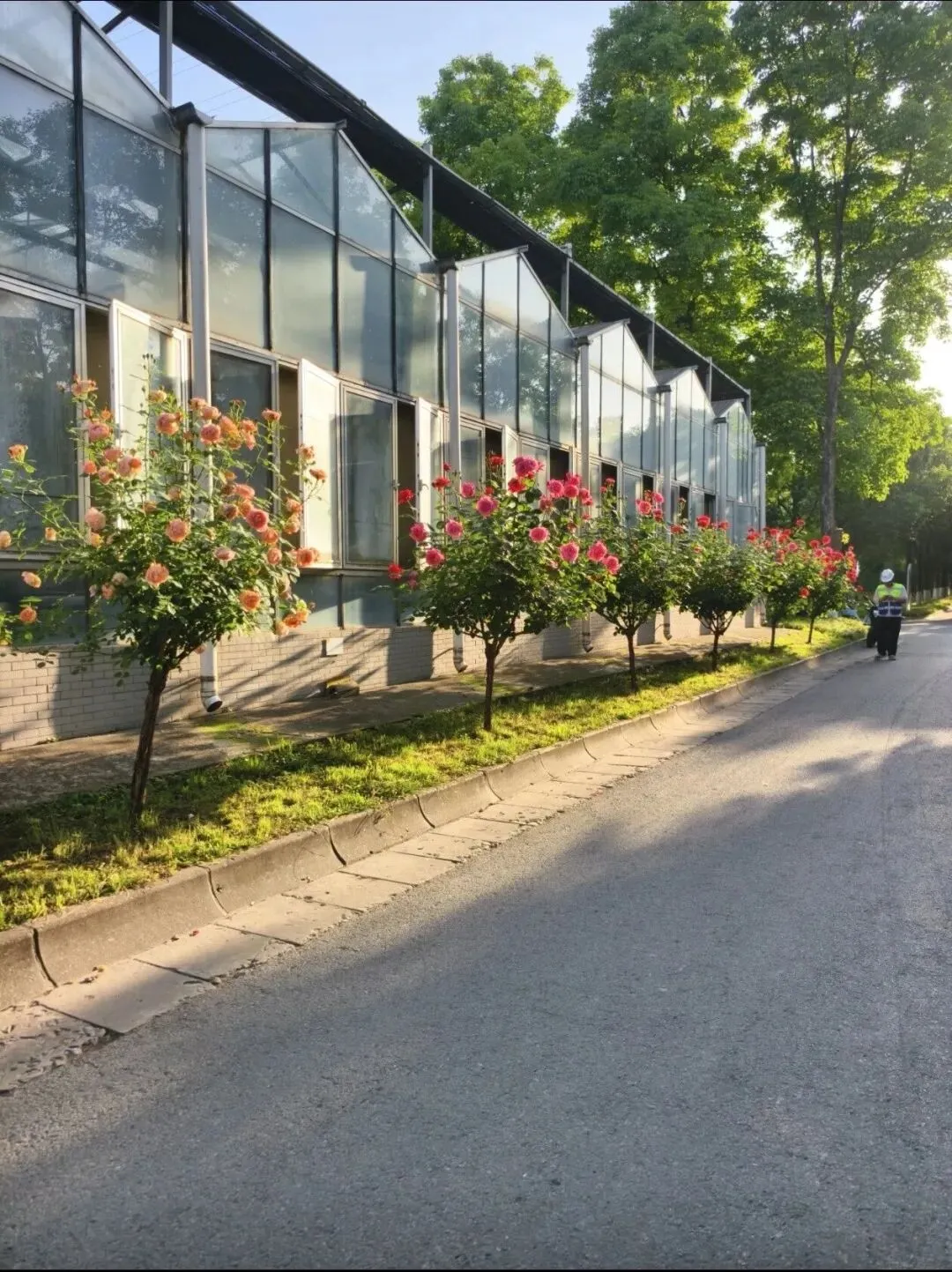 25级大一下考古学真题(师范方向)-第1张图片-四季读书网