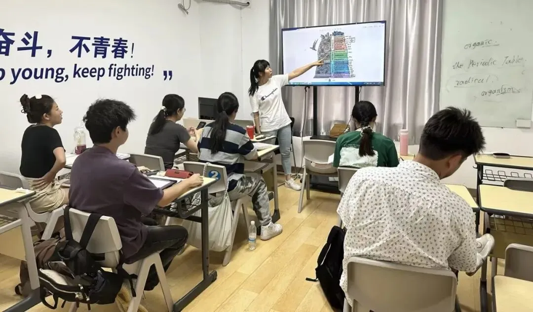 中考后转轨国际学校,家长们该如何规划?-第8张图片-四季读书网 中考后转轨国际学校,家长们该如何规划?-第8张图片-四季读书网