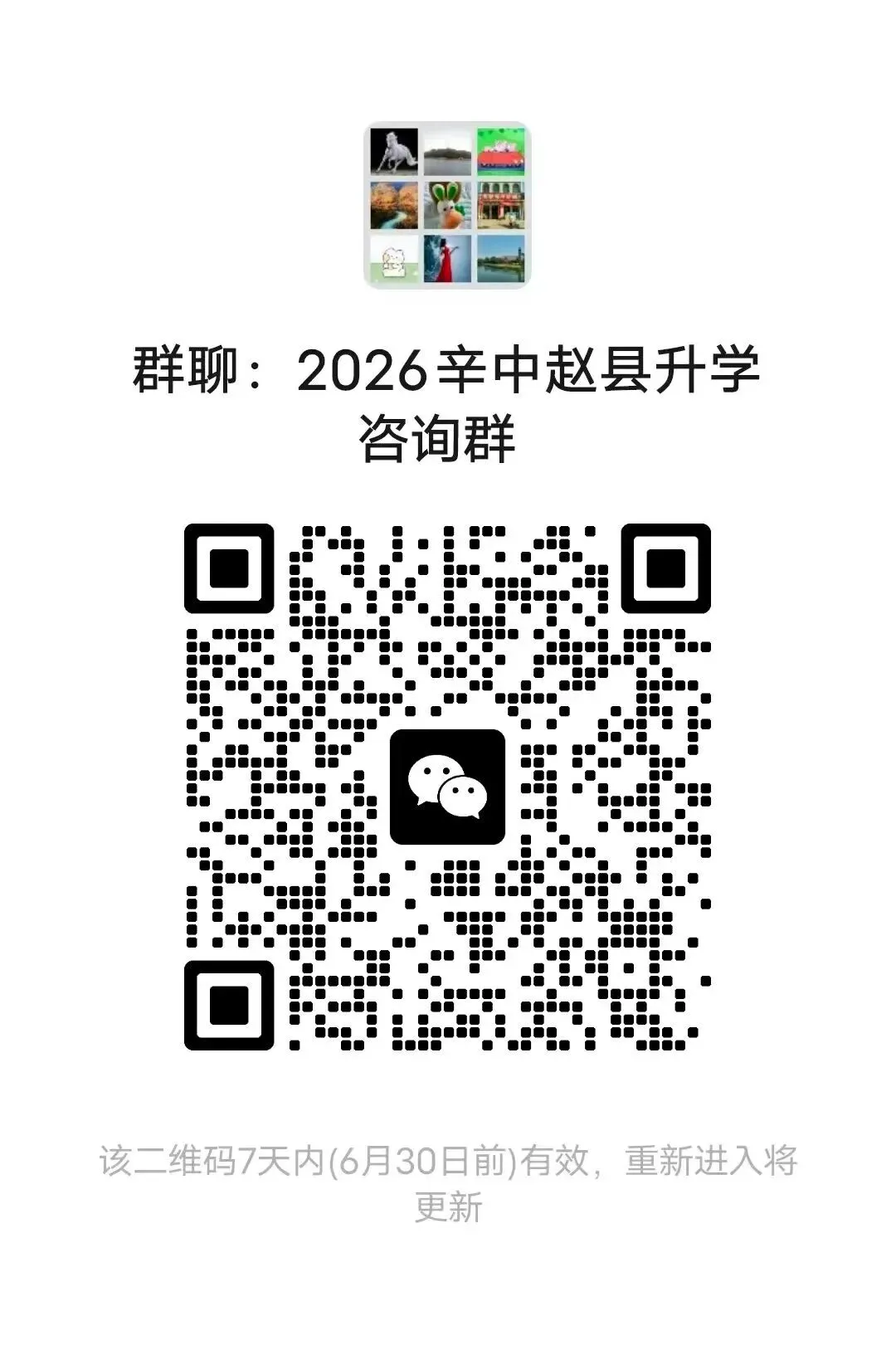 石家庄2中、精英等23所高中中考招生咨询电话-第48张图片-四季读书网 石家庄2中、精英等23所高中中考招生咨询电话-第48张图片-四季读书网