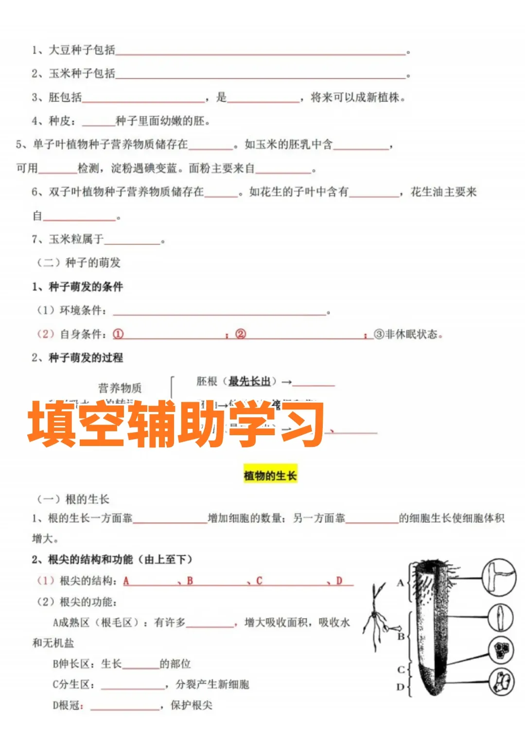 上海七上生物核心考点清单+真题训练——暑假预习必备-第3张图片-四季读书网 上海七上生物核心考点清单+真题训练——暑假预习必备-第3张图片-四季读书网