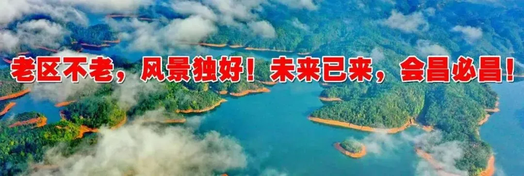 刚刚!赣州中考成绩公布!-第6张图片-四季读书网 刚刚!赣州中考成绩公布!-第6张图片-四季读书网