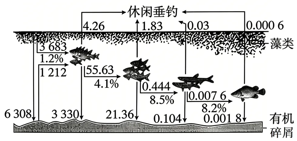 深度分析真题::2026广东高考生态题,讲明能量流动、生态修复和工程原理玄机-第2张图片-四季读书网