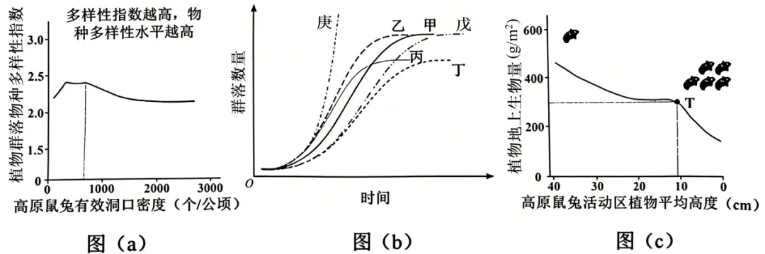 2026陕晋青宁高考生物真题与答案-第14张图片-四季读书网