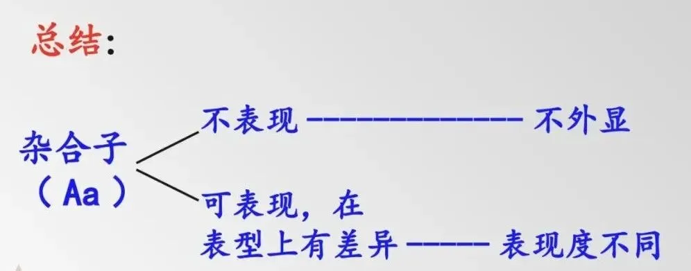 医学遗传学期末冲刺(三)——单基因病(真题汇总)-第6张图片-四季读书网