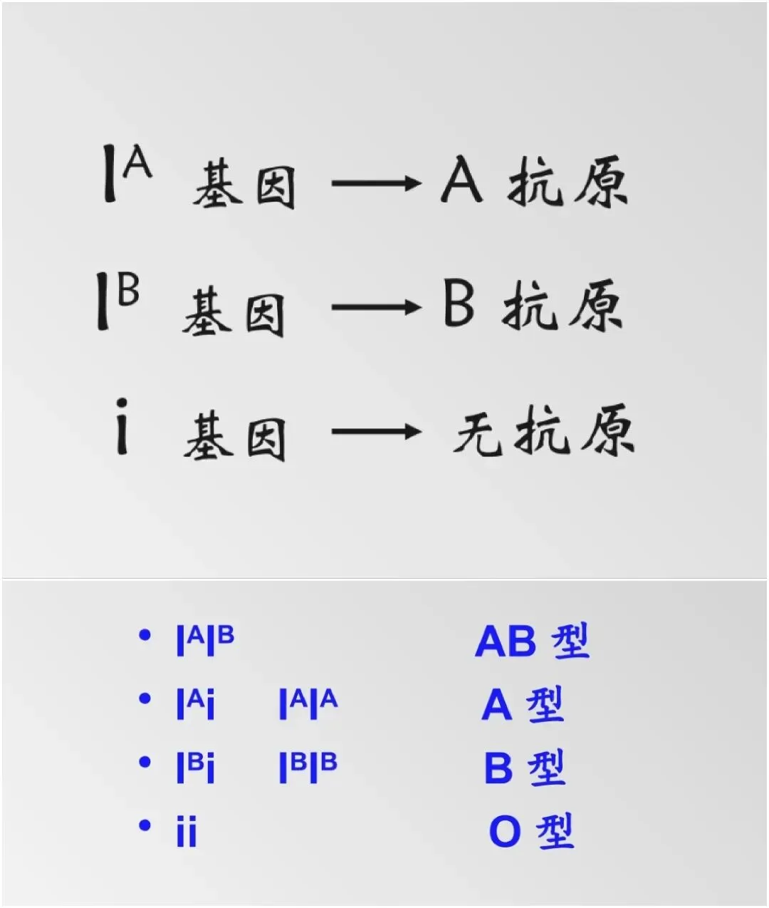 医学遗传学期末冲刺(三)——单基因病(真题汇总)-第7张图片-四季读书网