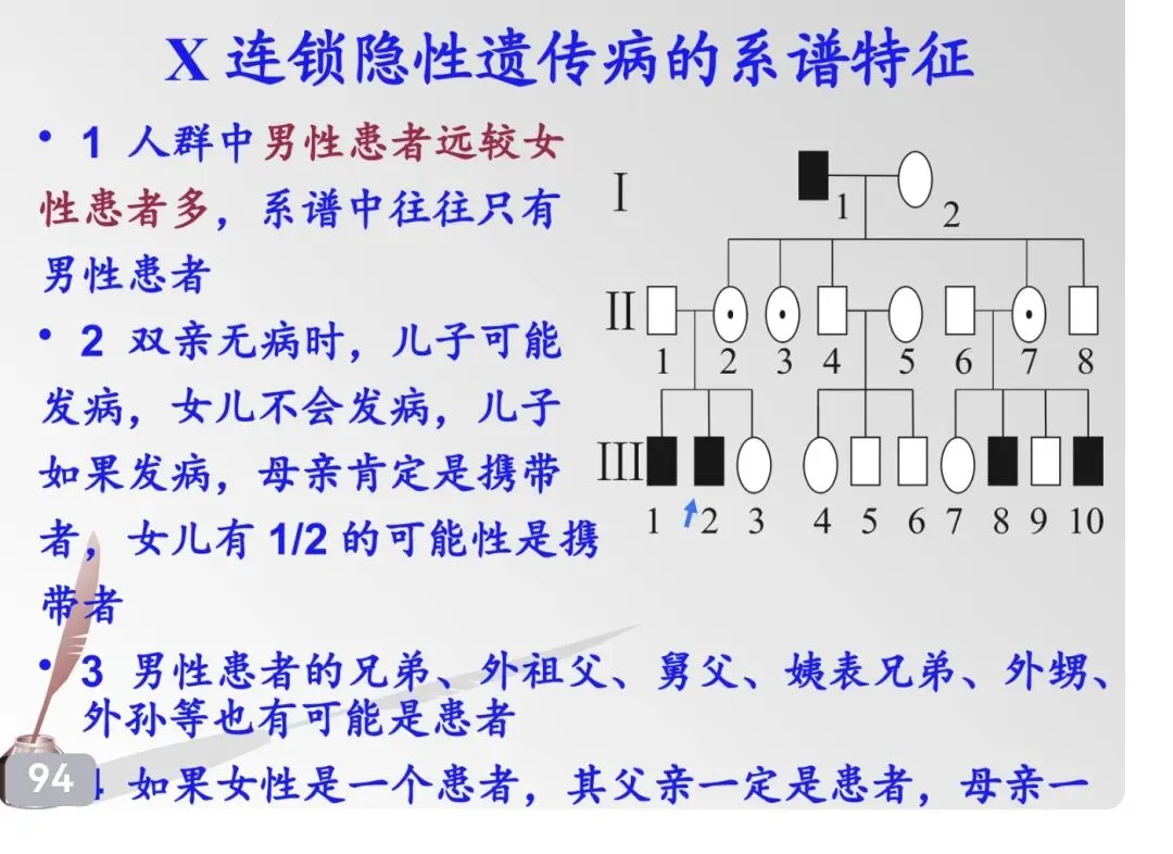 医学遗传学期末冲刺(三)——单基因病(真题汇总)-第15张图片-四季读书网