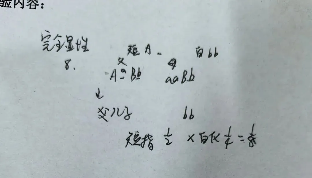 医学遗传学期末冲刺(三)——单基因病(真题汇总)-第17张图片-四季读书网