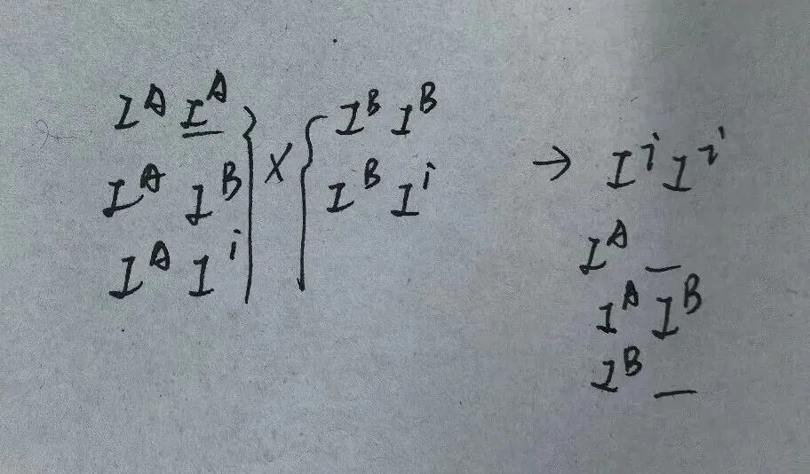 医学遗传学期末冲刺(三)——单基因病(真题汇总)-第18张图片-四季读书网