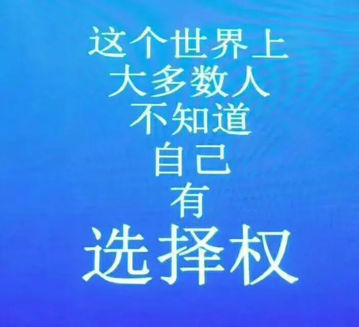 《写给所有考生:别让一张试卷,定义了你的余生》-第4张图片-四季读书网