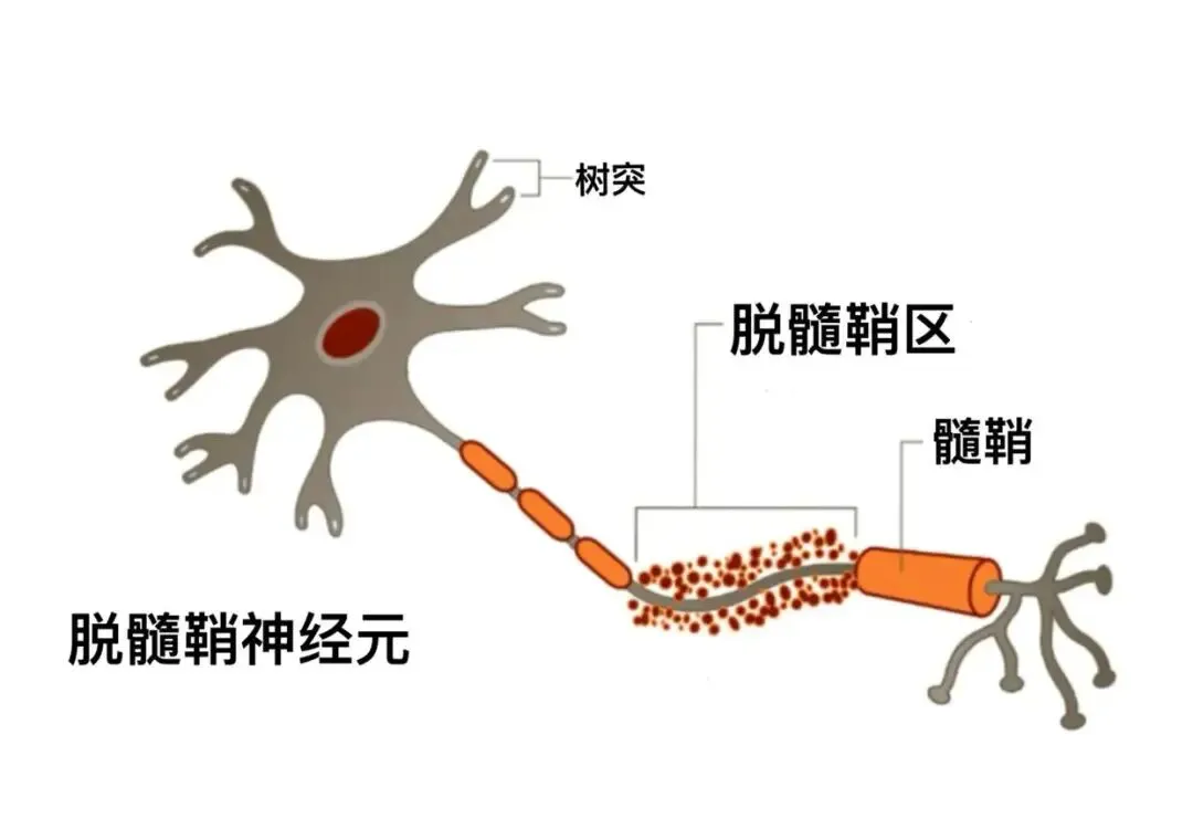 经典备考|河北中考课外文言诗文理解底层逻辑——知人论世-第3张图片-四季读书网