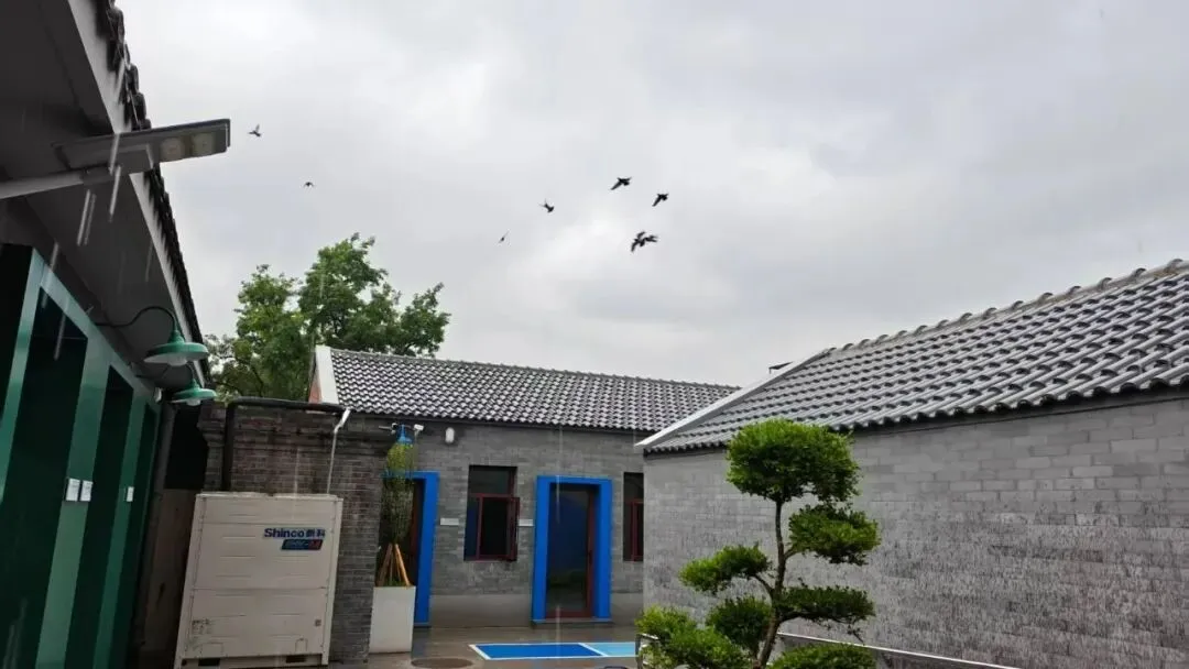 非京籍中考升学:各区社保要求 + 转轨国际校时间规划-第1张图片-四季读书网