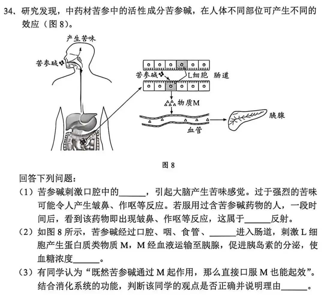 中考试卷:2026年广东省初中学业水平考试生物学试卷+参考答案-第8张图片-四季读书网 中考试卷:2026年广东省初中学业水平考试生物学试卷+参考答案-第8张图片-四季读书网