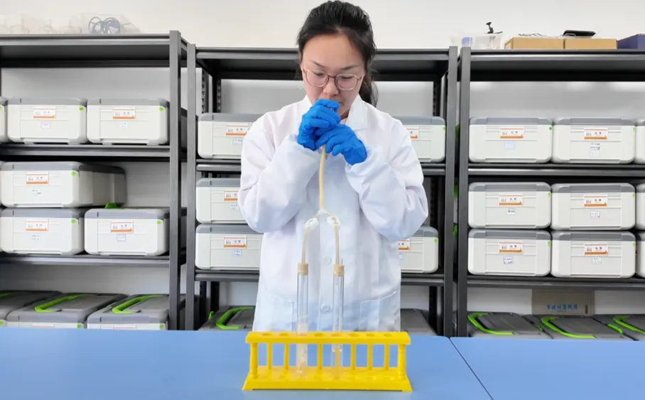 中考化学实验:验证呼出气体二氧化碳浓度大于空气-第9张图片-四季读书网
