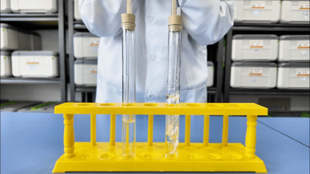中考化学实验:验证呼出气体二氧化碳浓度大于空气-第10张图片-四季读书网