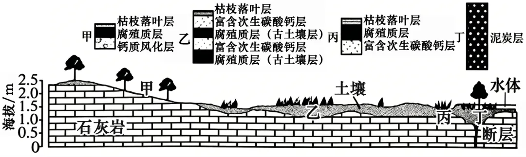 2026年高考山东卷地理高考真题(网络 收集版)(解析版)-第4张图片-四季读书网