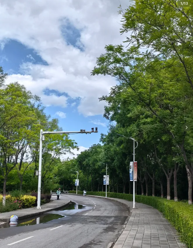 27历史学考研院校考情丨宁夏大学招生人数丨分数线丨历年真题丨参考书目-第7张图片-四季读书网