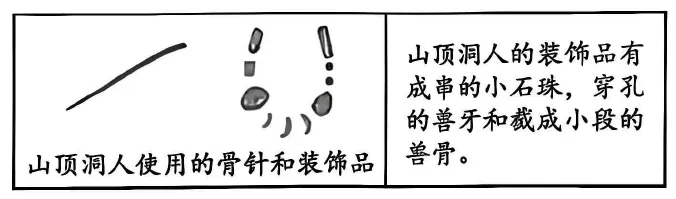 中考真题 | 2026年吉林省初中历史中考真题(含答案)-第1张图片-四季读书网