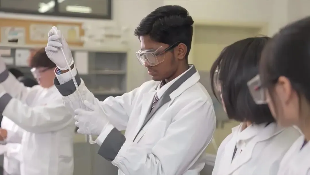 中考结束,另一条赛道刚刚开启|2026国际高中升学通道已开放-第2张图片-四季读书网