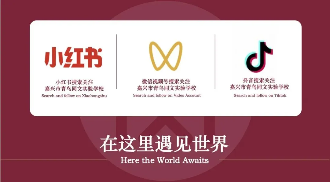 中考结束,另一条赛道刚刚开启|2026国际高中升学通道已开放-第17张图片-四季读书网