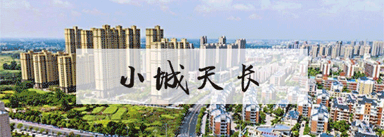 十点查分!天长中考成绩即将出炉!-第8张图片-四季读书网 十点查分!天长中考成绩即将出炉!-第8张图片-四季读书网