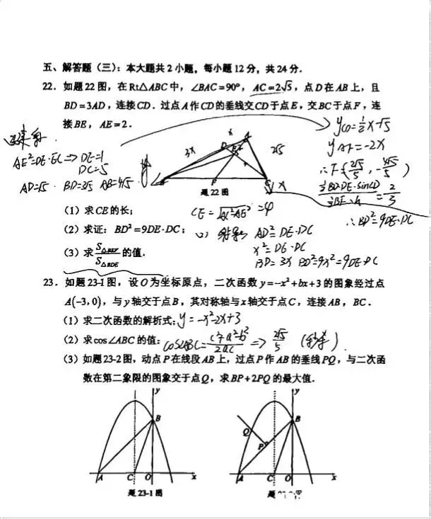 中考真题原卷:广东省2026年中考数学、生物试题(无答案)-第15张图片-四季读书网