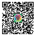 14省区-9套2026高考真题-可视化解析 | 广东、湖北、山东、河北、河南、云南、陕宁青晋、辽吉黑蒙(word免费领取)-第170张图片-四季读书网