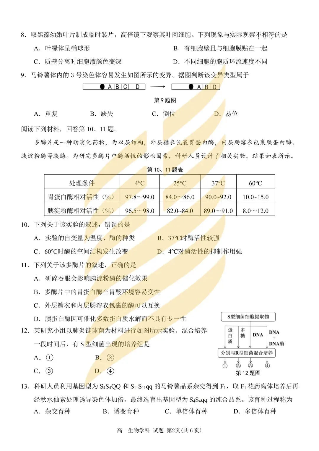 学考模拟|浙江省2026年6月学业水平适应性考试高一试题及答案-第33张图片-四季读书网 学考模拟|浙江省2026年6月学业水平适应性考试高一试题及答案-第33张图片-四季读书网