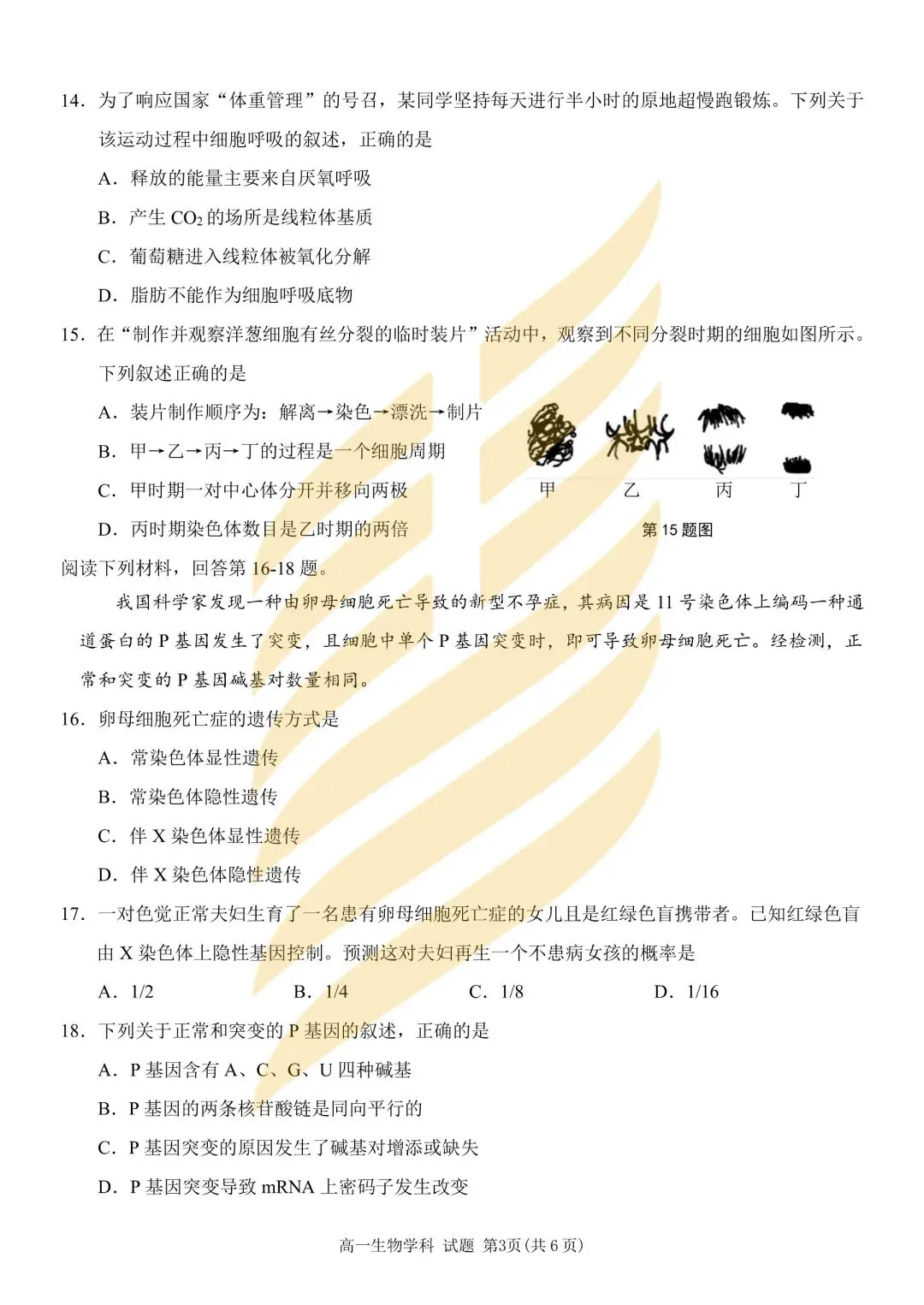学考模拟|浙江省2026年6月学业水平适应性考试高一试题及答案-第34张图片-四季读书网 学考模拟|浙江省2026年6月学业水平适应性考试高一试题及答案-第34张图片-四季读书网
