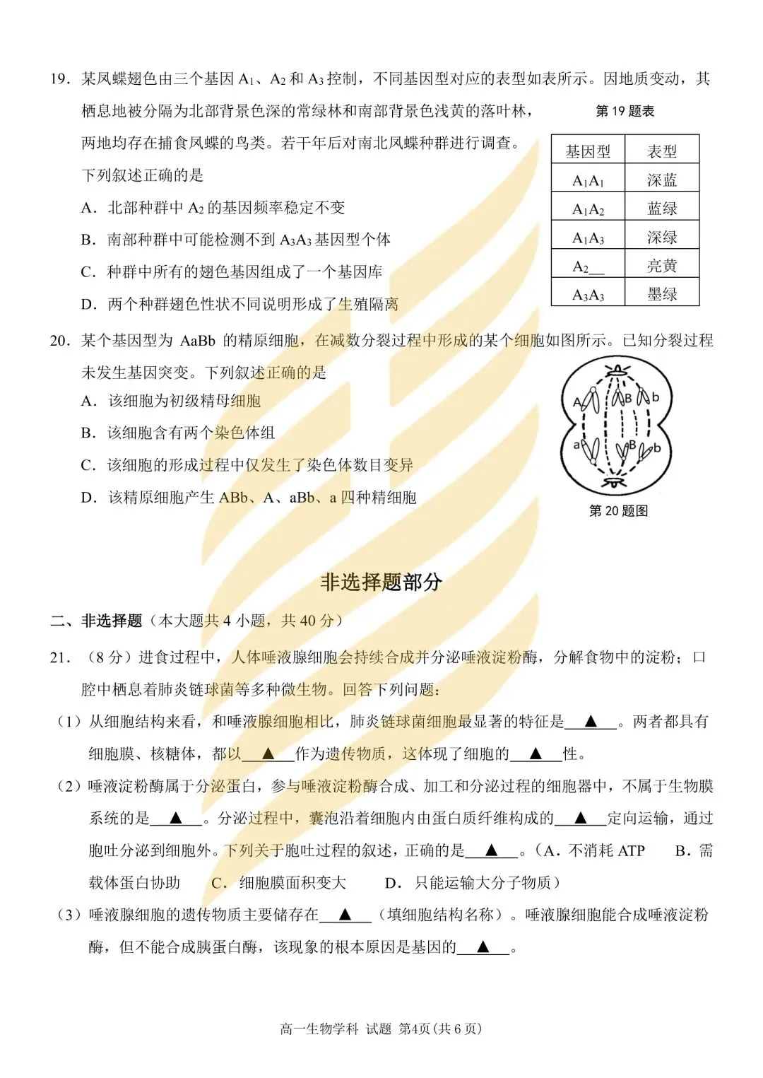学考模拟|浙江省2026年6月学业水平适应性考试高一试题及答案-第35张图片-四季读书网 学考模拟|浙江省2026年6月学业水平适应性考试高一试题及答案-第35张图片-四季读书网