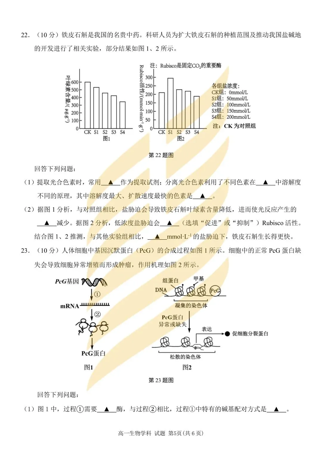 学考模拟|浙江省2026年6月学业水平适应性考试高一试题及答案-第36张图片-四季读书网 学考模拟|浙江省2026年6月学业水平适应性考试高一试题及答案-第36张图片-四季读书网