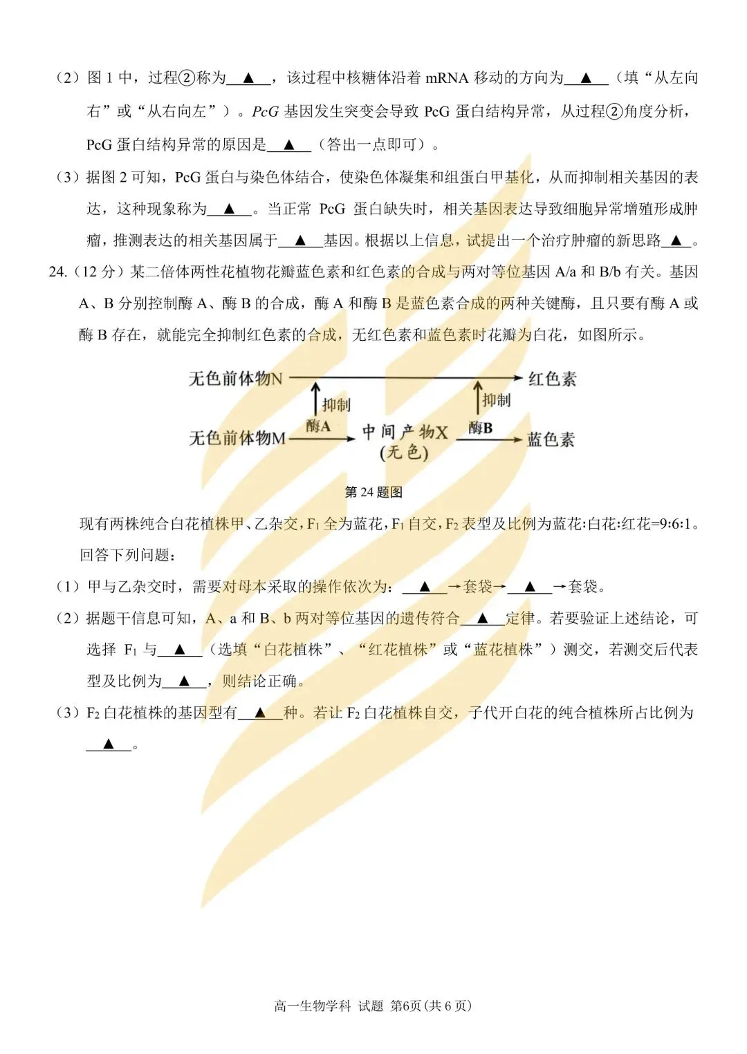 学考模拟|浙江省2026年6月学业水平适应性考试高一试题及答案-第37张图片-四季读书网 学考模拟|浙江省2026年6月学业水平适应性考试高一试题及答案-第37张图片-四季读书网