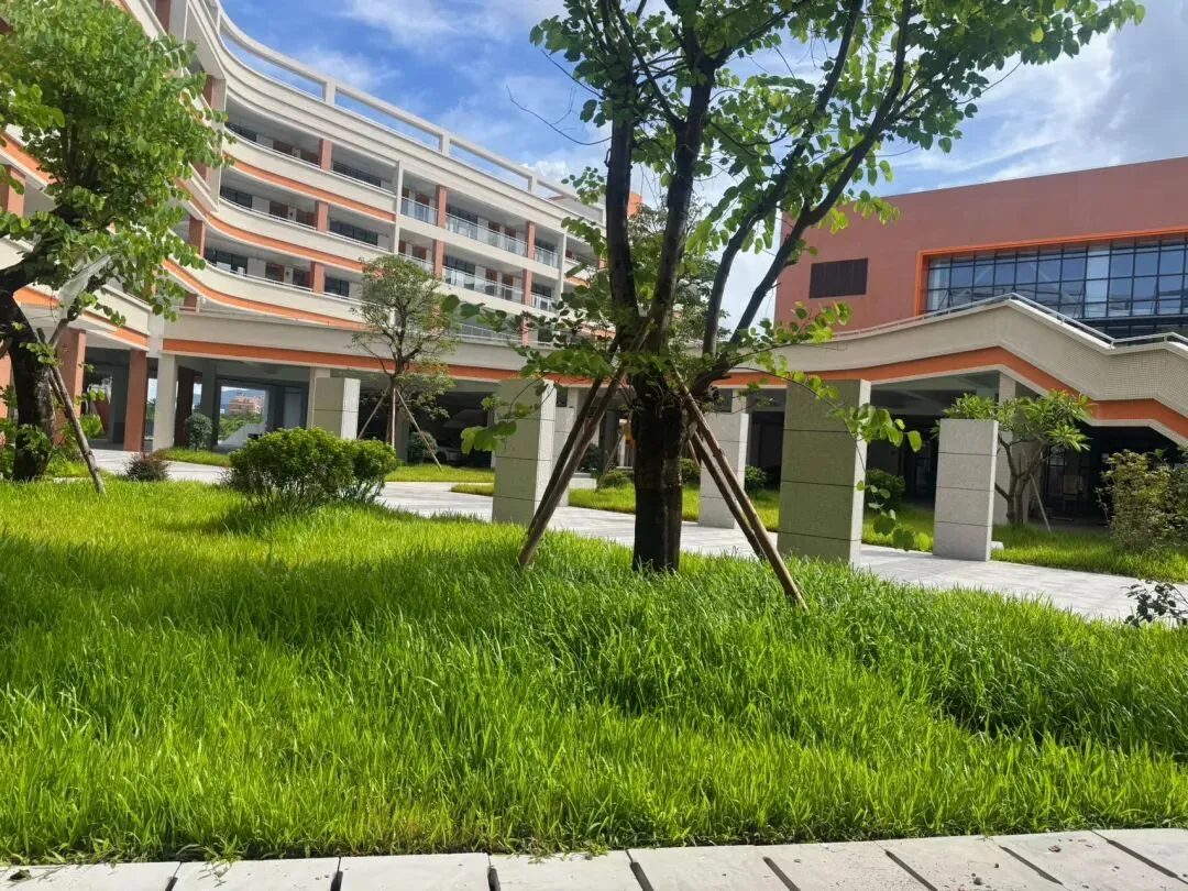 中考,是一场被低估的“人生大考”-第3张图片-四季读书网 中考,是一场被低估的“人生大考”-第3张图片-四季读书网