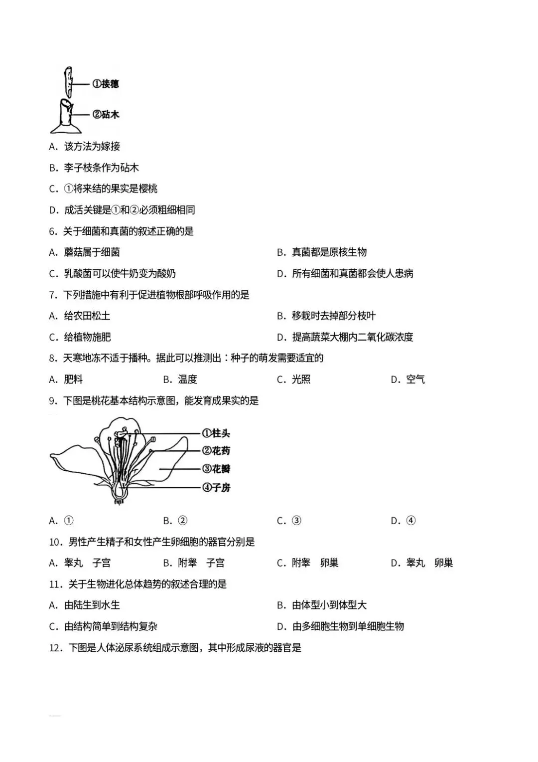 2026年吉林省中考生物真题,含答案-第2张图片-四季读书网