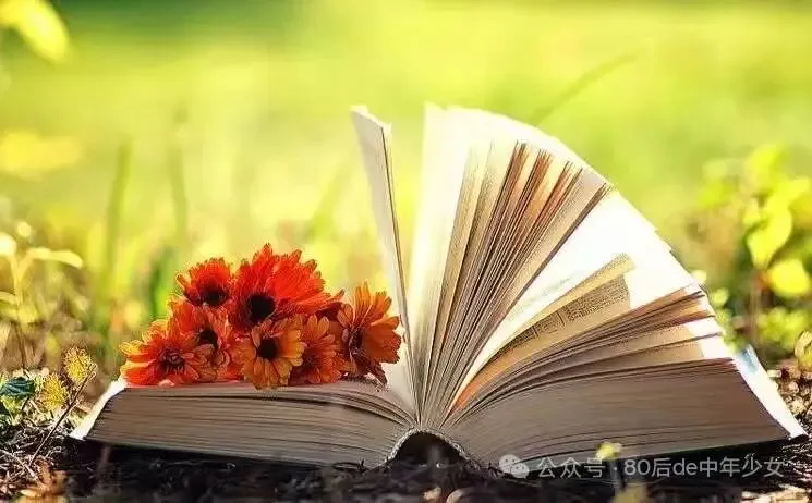 中考出分了!请告诉孩子:一张试卷,定不了你的人生-第5张图片-四季读书网 中考出分了!请告诉孩子:一张试卷,定不了你的人生-第5张图片-四季读书网