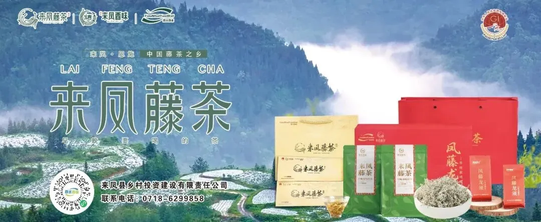 恩施州2026年中考成绩已开通查询!-第3张图片-四季读书网 恩施州2026年中考成绩已开通查询!-第3张图片-四季读书网