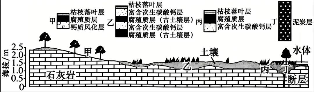 2026年高考真题-山东卷-第3张图片-四季读书网 2026年高考真题-山东卷-第3张图片-四季读书网