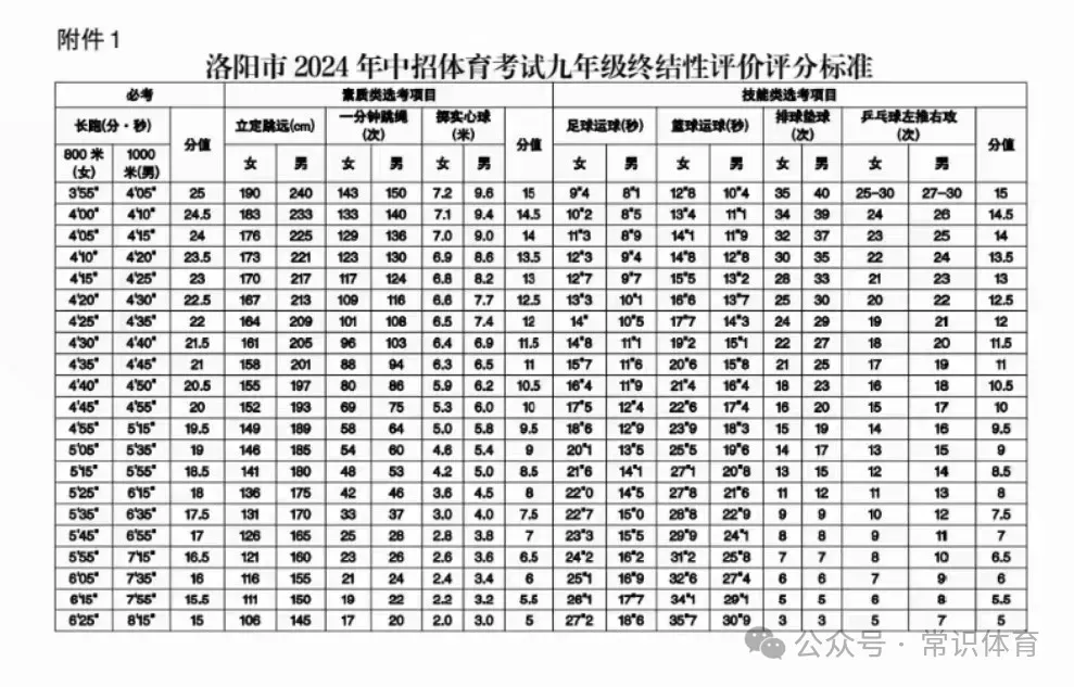 暑假作业(锻炼建议)+中考情况概述-第1张图片-四季读书网