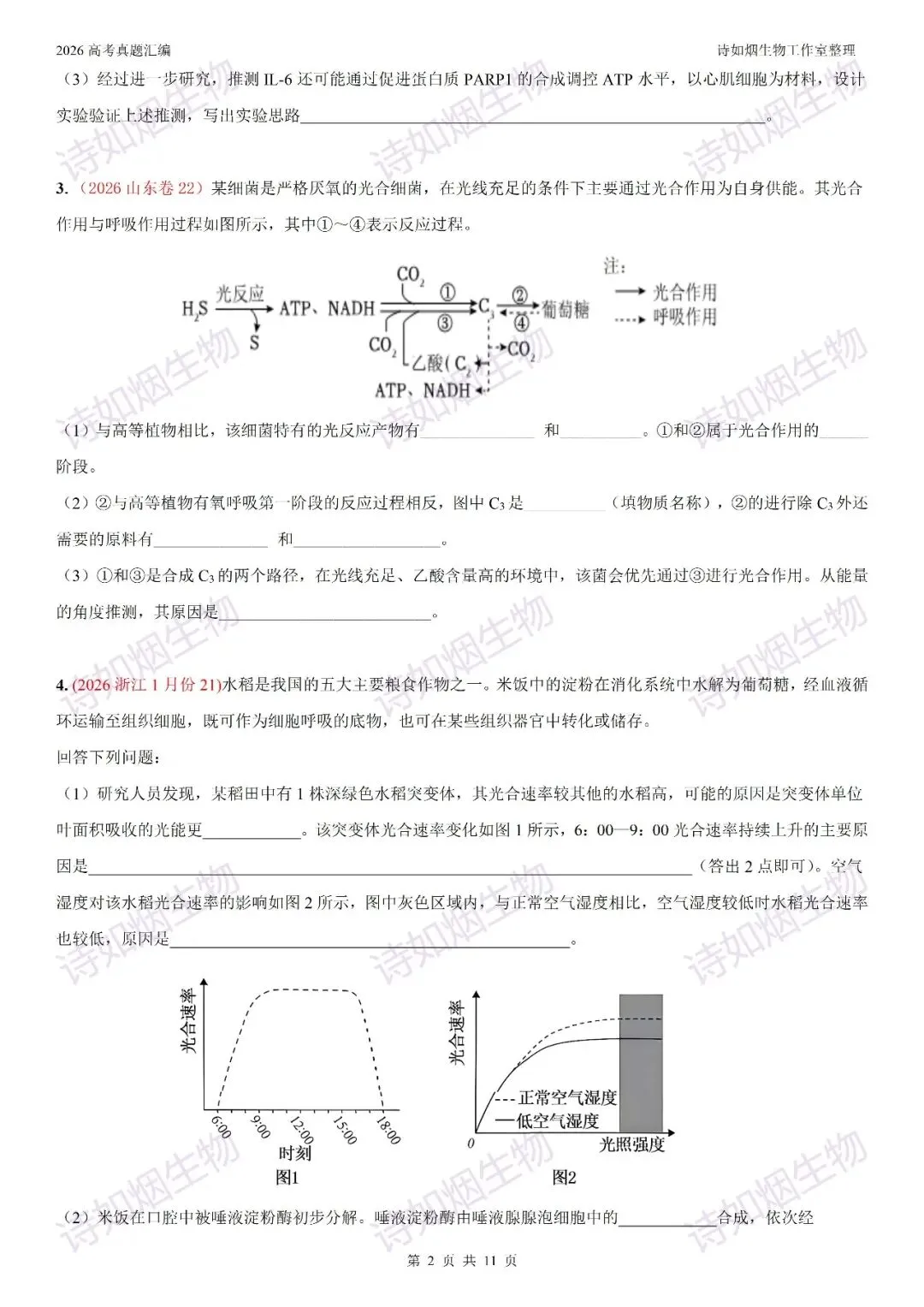 2026高考生物真题汇编----必修一非选择题部分(上)-第2张图片-四季读书网
