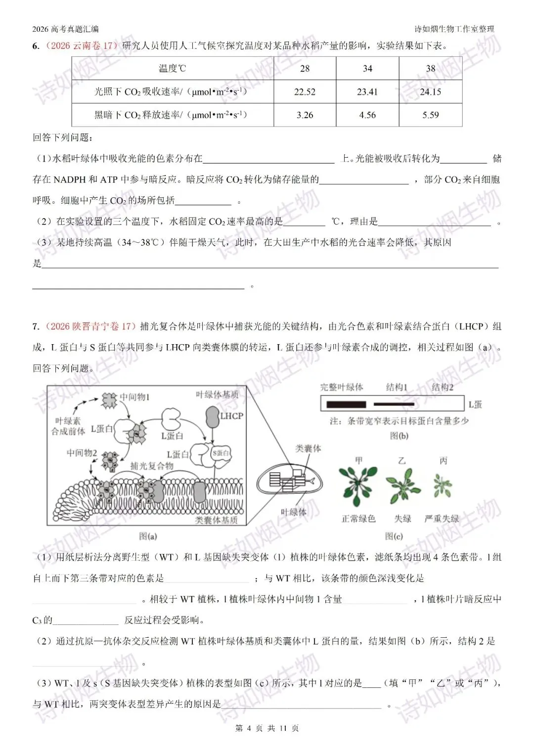 2026高考生物真题汇编----必修一非选择题部分(上)-第4张图片-四季读书网