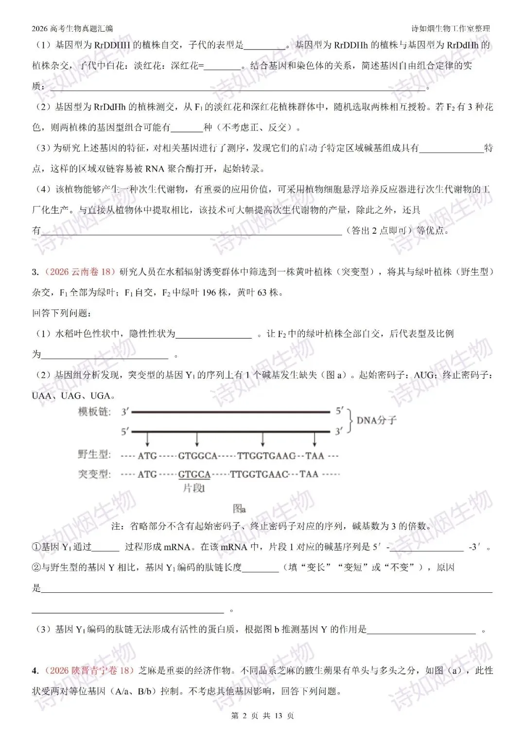 2026高考生物真题汇编----必修一非选择题部分(上)-第6张图片-四季读书网 2026高考生物真题汇编----必修一非选择题部分(上)-第6张图片-四季读书网