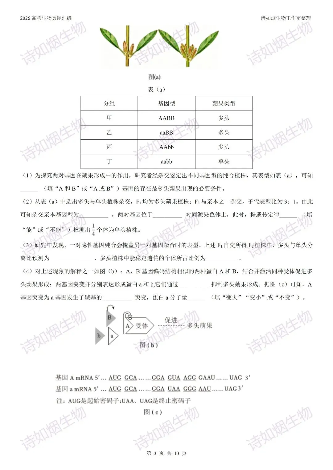 2026高考生物真题汇编----必修一非选择题部分(上)-第7张图片-四季读书网 2026高考生物真题汇编----必修一非选择题部分(上)-第7张图片-四季读书网