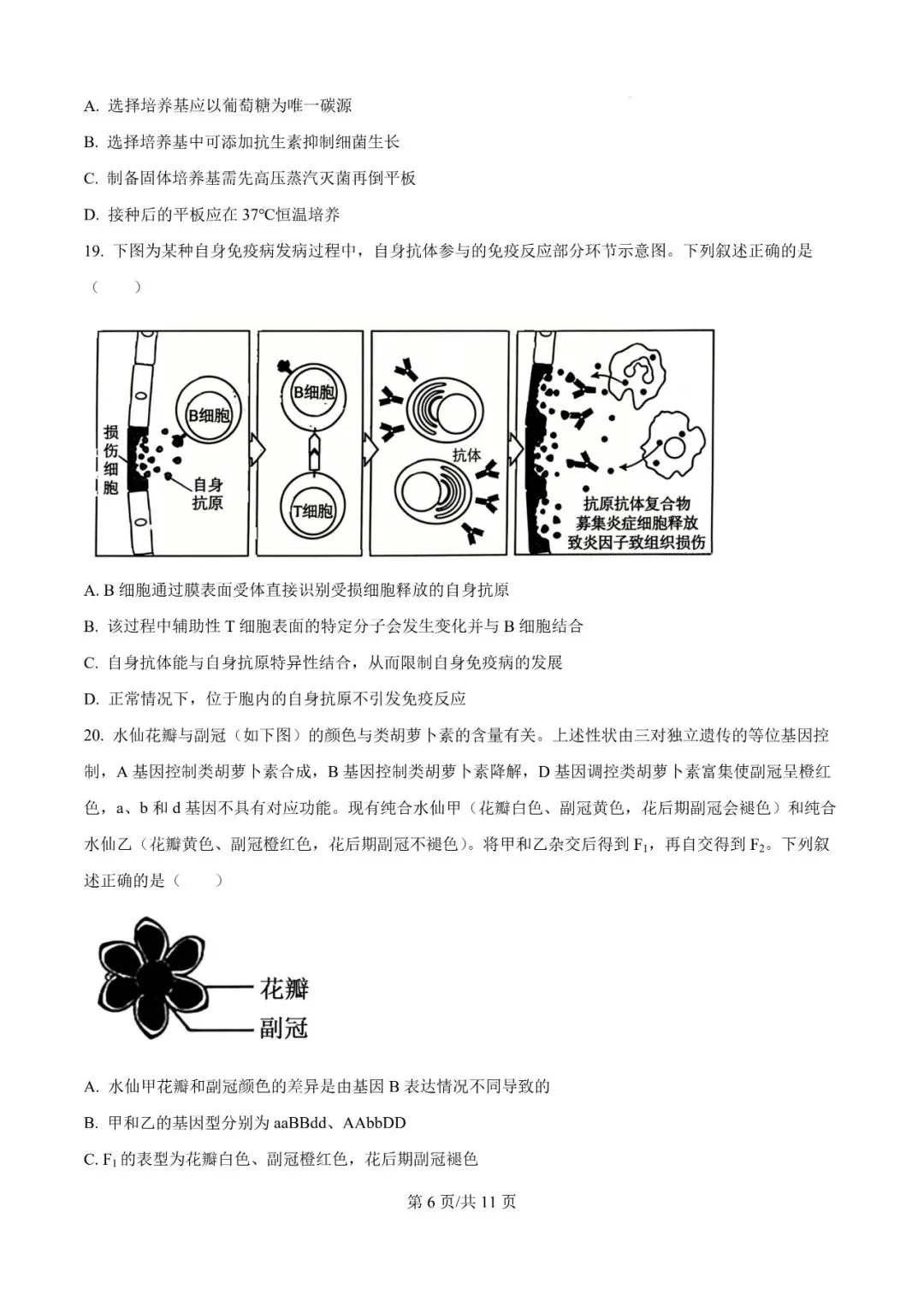 2026年辽宁高三模拟考试生物试题(一)-第6张图片-四季读书网
