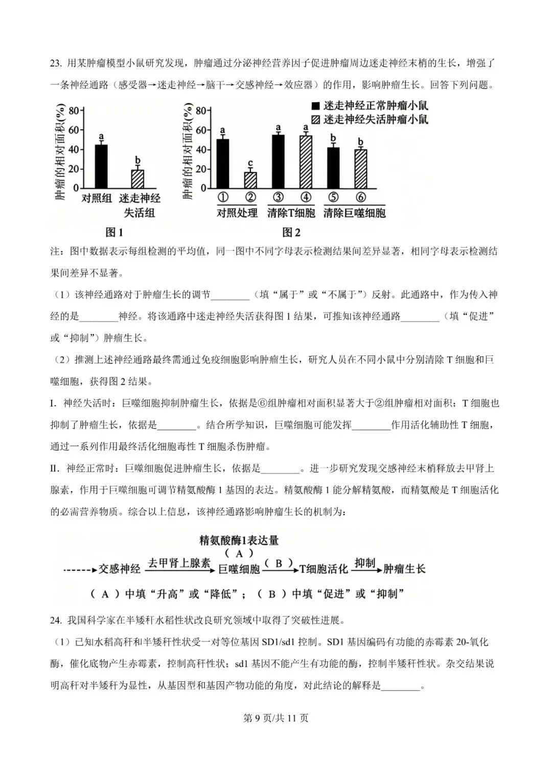 2026年辽宁高三模拟考试生物试题(一)-第9张图片-四季读书网