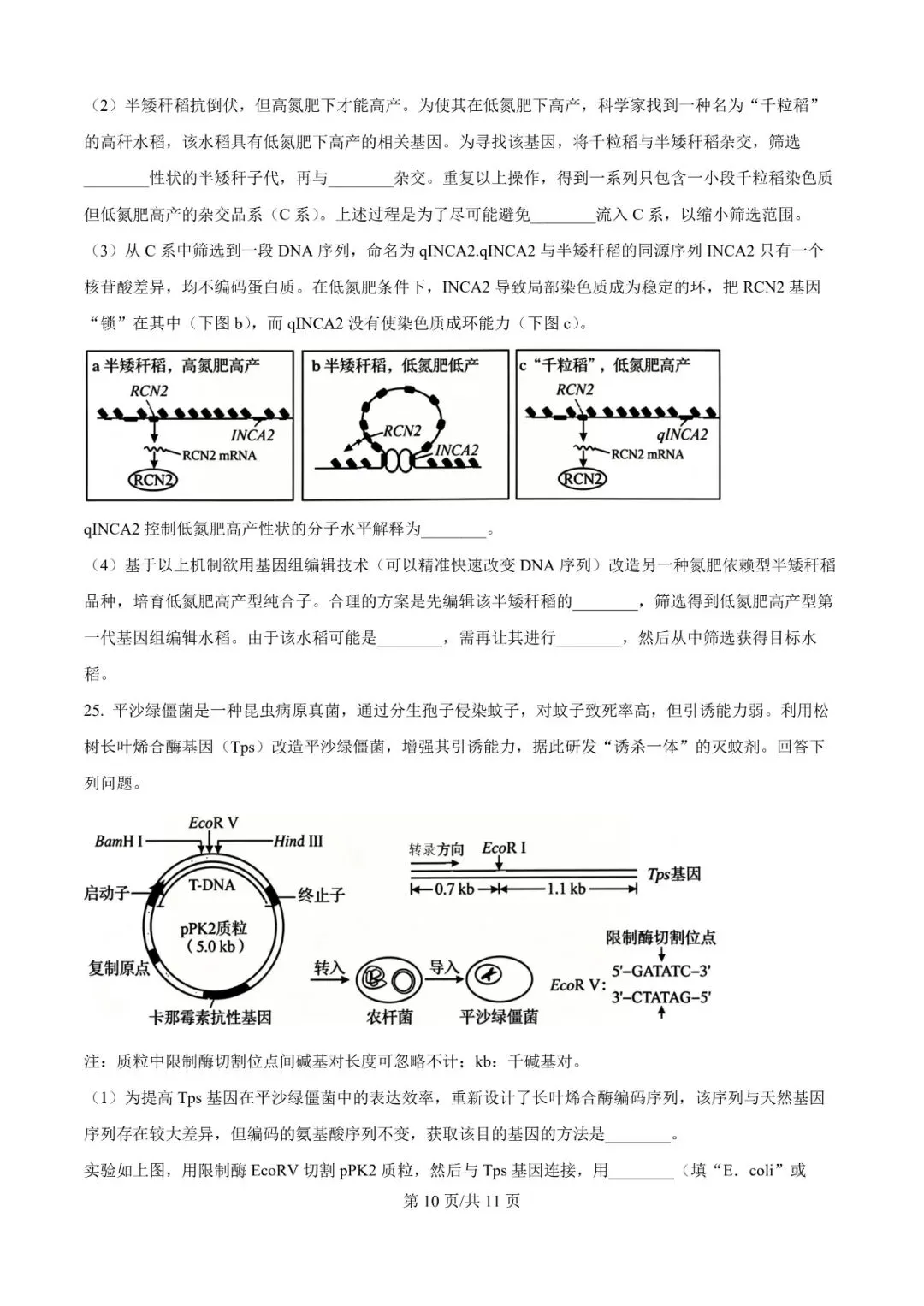 2026年辽宁高三模拟考试生物试题(一)-第10张图片-四季读书网