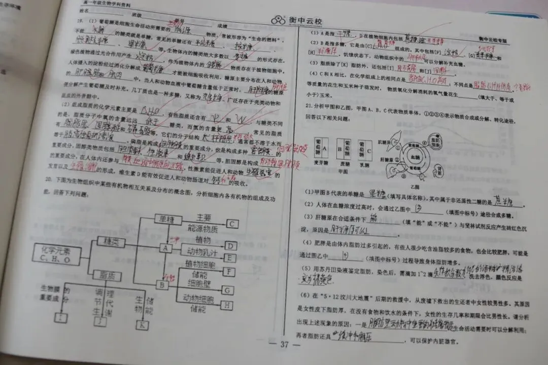 隆尧中考家长看过来!沙河市实验中学7月3日新高一收费标准..-第16张图片-四季读书网 隆尧中考家长看过来!沙河市实验中学7月3日新高一收费标准..-第16张图片-四季读书网