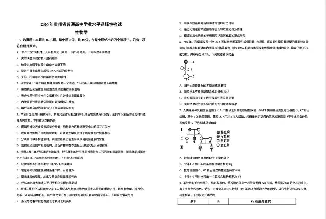 点击收藏!2026年贵州高考试卷更新中...-第46张图片-四季读书网