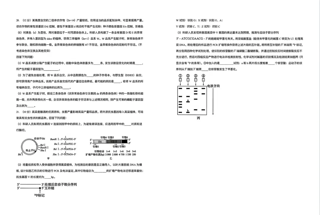 点击收藏!2026年贵州高考试卷更新中...-第49张图片-四季读书网