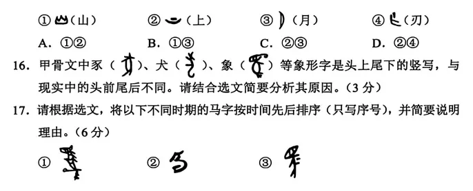 2026届广东中考 语文真题及答案-第3张图片-四季读书网
